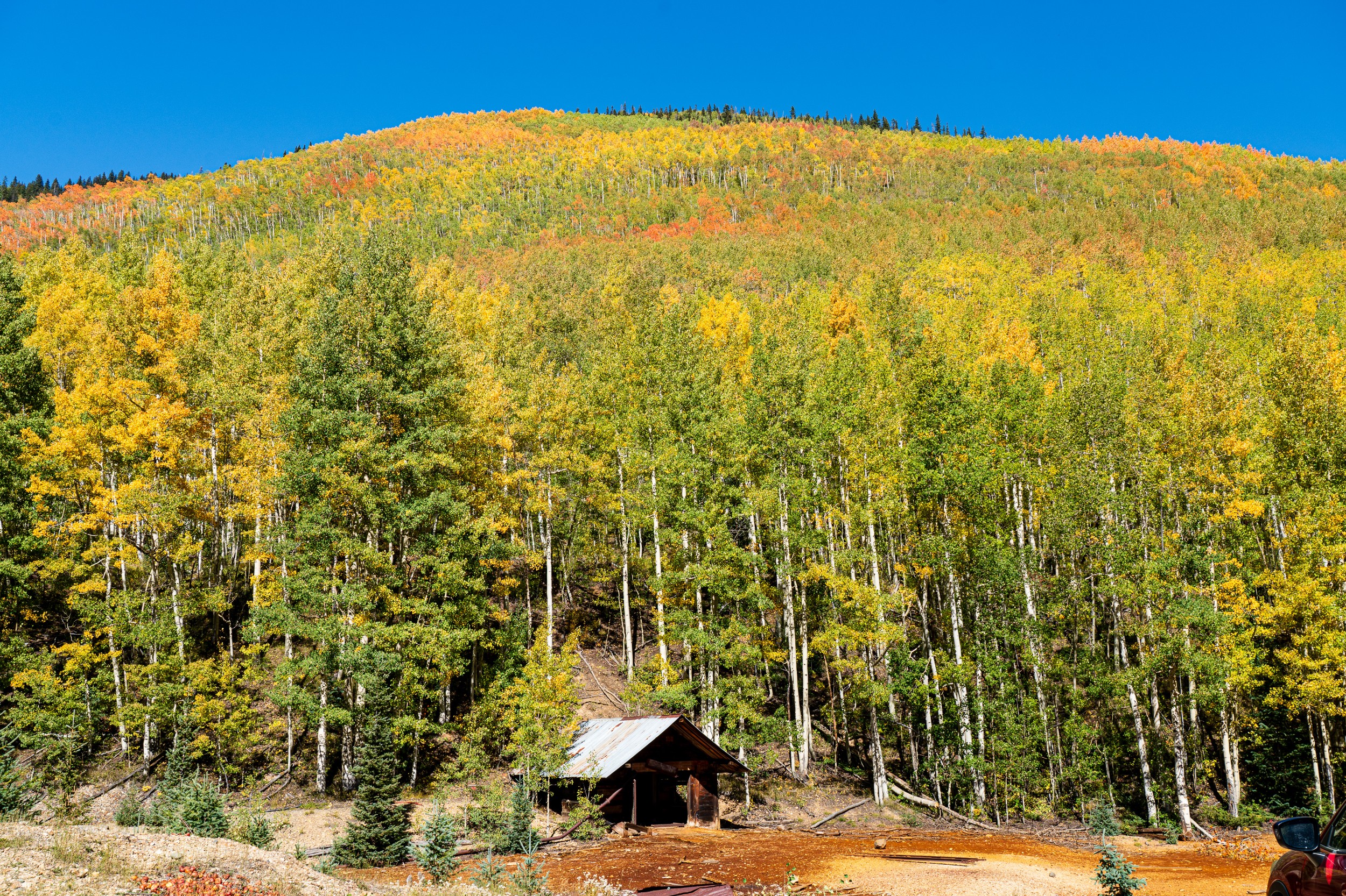 USA 2024 5 Sterne 24